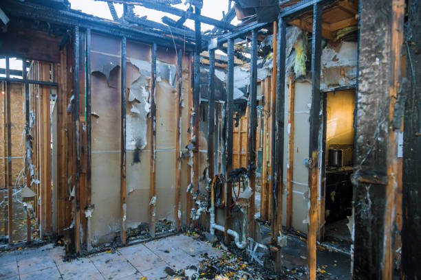 Professional Fire Damage Removal technician working in Lester Prairie, MN